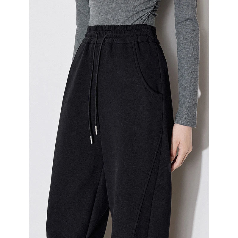 TOYOUTH Women Fleece Casual Pants 2026 Autumn Winter New Drawstring Elastic Waist Warm Straight Wide Leg Black Banana Pants